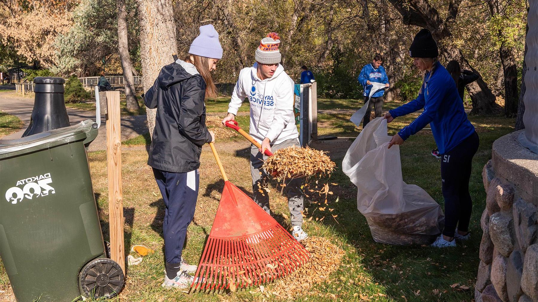 Day of Service raking at the zoo